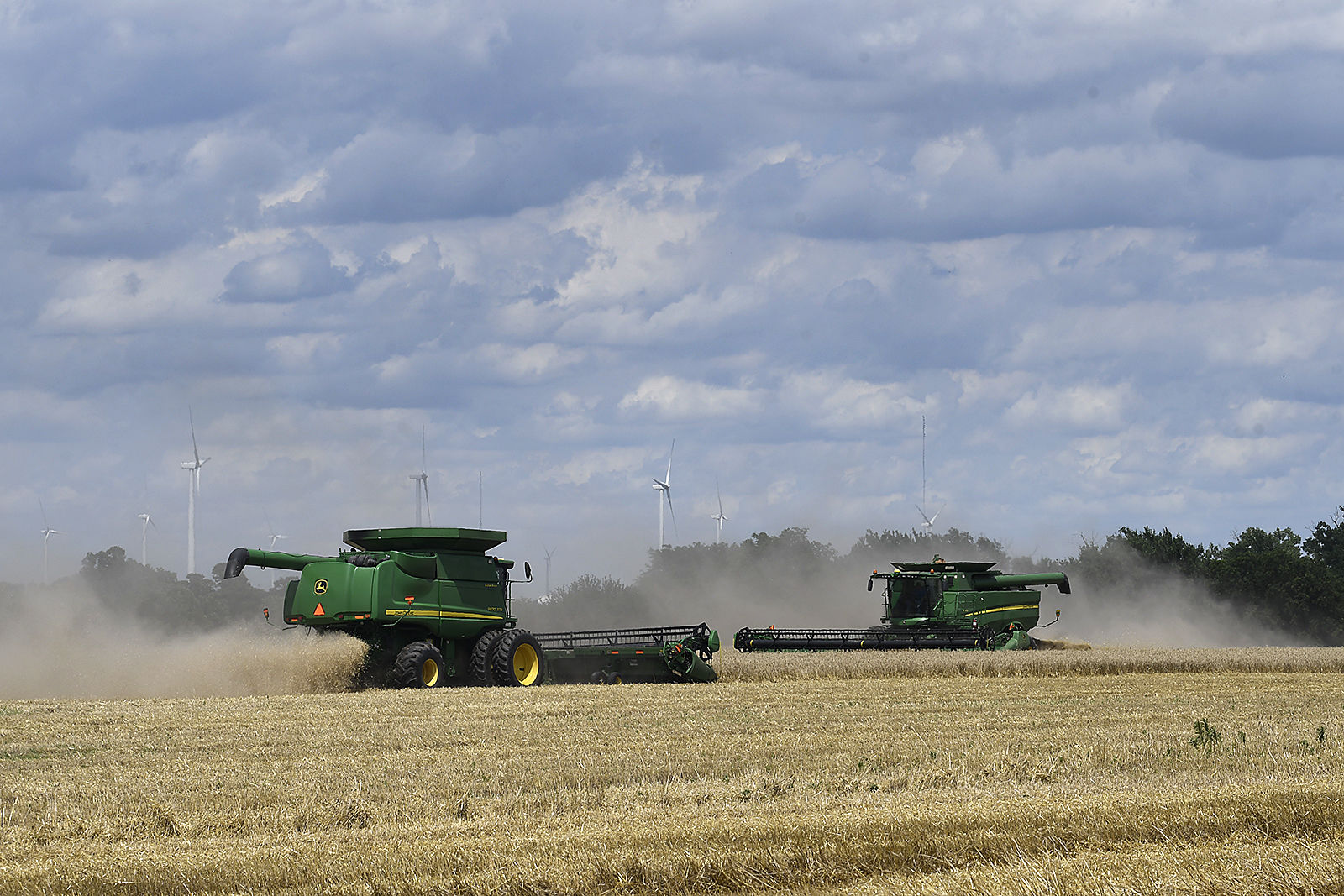 Progress Farming Wheat 1 BH.jpg